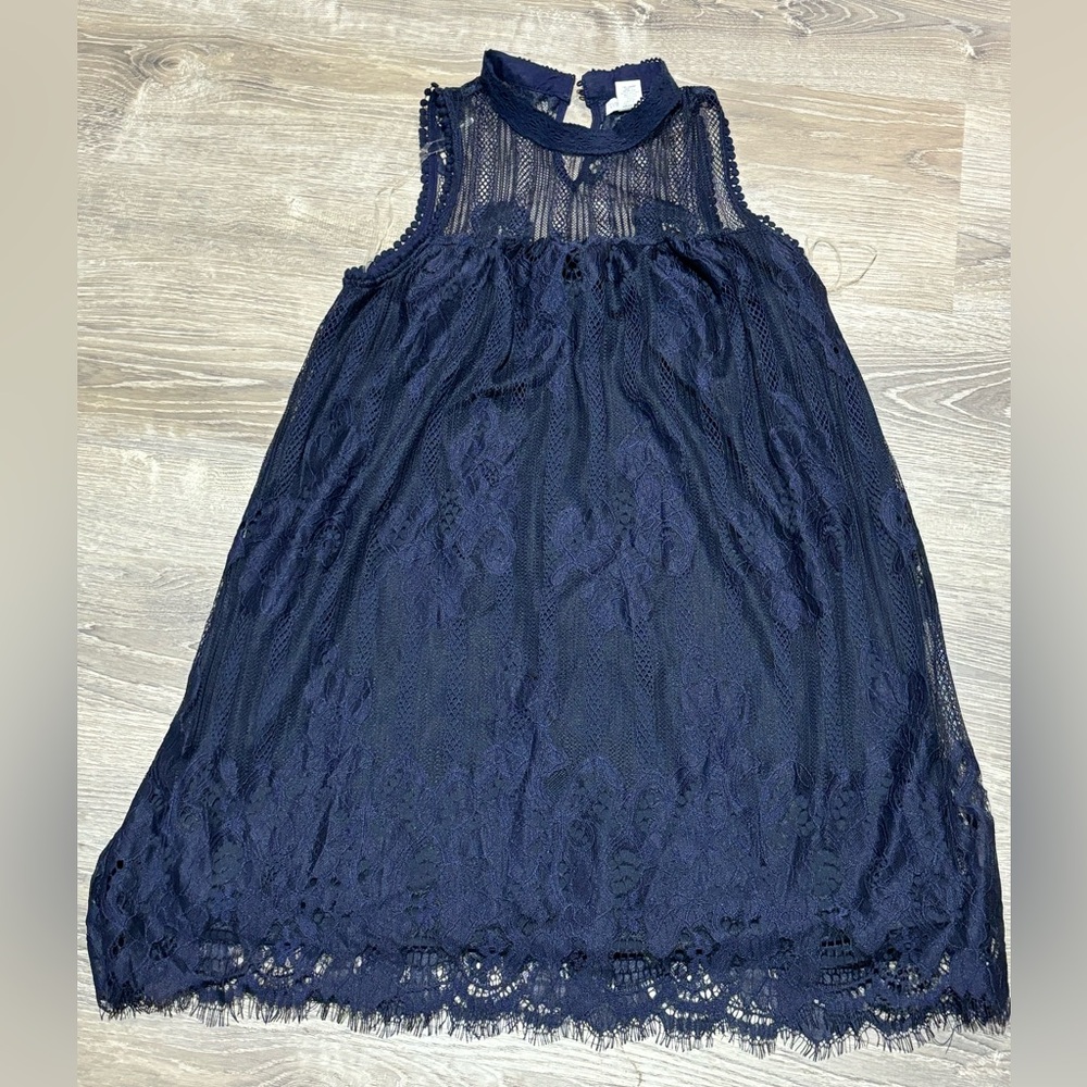 Lace Lined Dress / NWT
